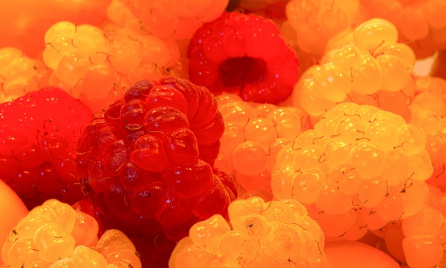 與行業的雙 與行業的雙