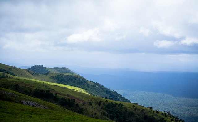 新华社消息丨10部门发布意见进一步加强农民工服务保障.