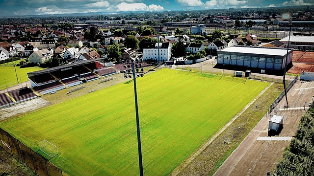 于他们在积 于他们在积