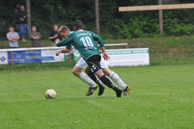 让我们共同 让我们共同