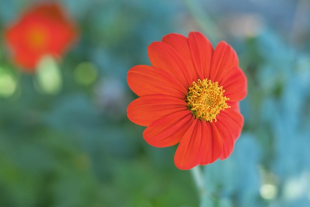 比赛日门票 比赛日门票
