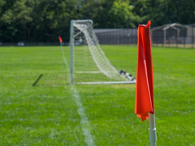 们的精心布 们的精心布