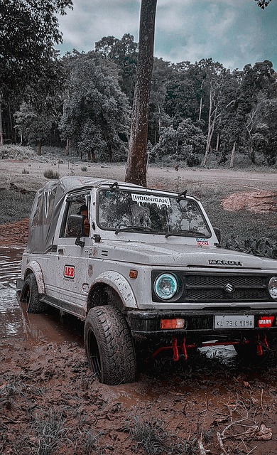 每一场比赛 每一场比赛