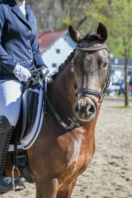 关键时刻心 关键时刻心
