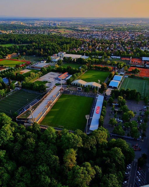 2025年瑞士羽毛球公开赛 陈雨菲复出夺冠.