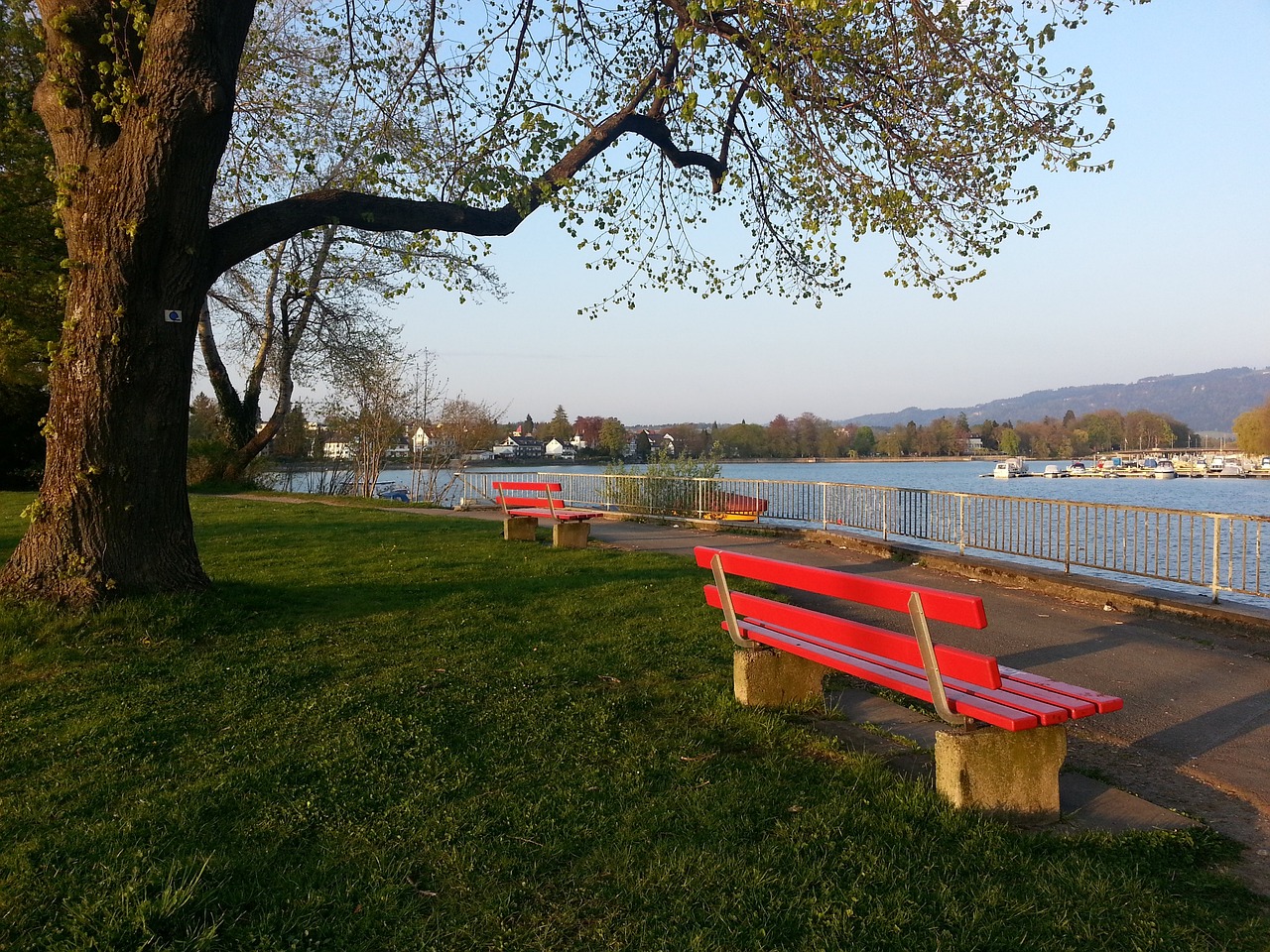 中国粮食安全“压舱石”省份实现“二十一连丰” 粮食产量首次突破1600亿斤.